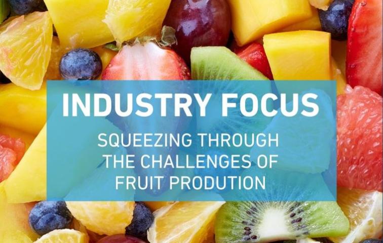 Industry focus - automated packaging solutions for the fresh fruit industry