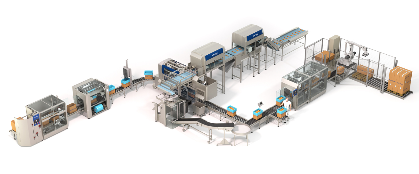 Bread packaging line with unique vision counting machine by Pattyn