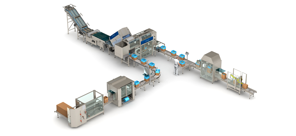 Frozen dough packaging line by Pattyn