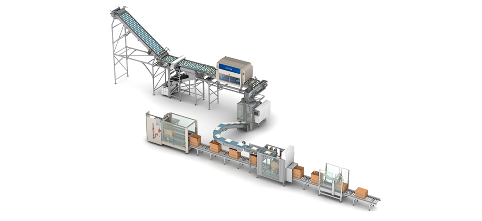 Pastry standard packaging line by Pattyn