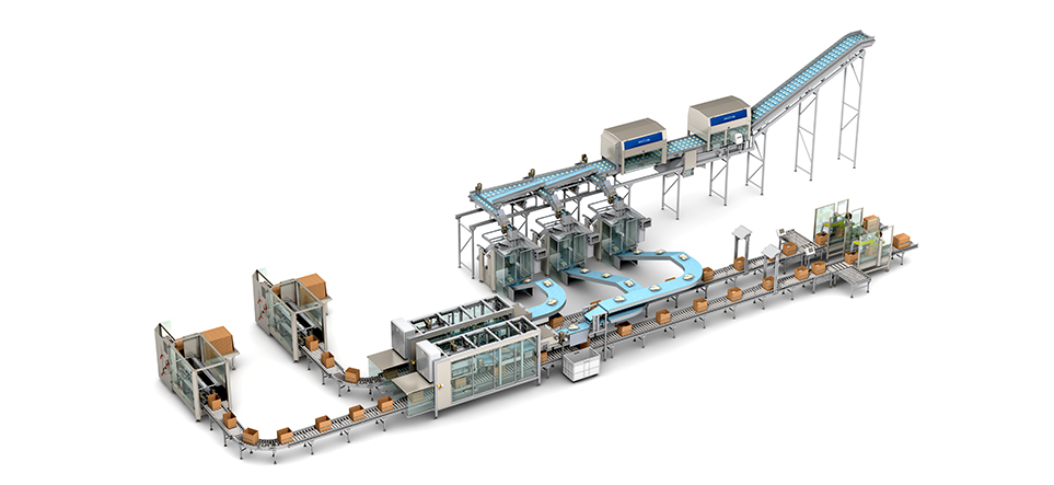 Pastry high speed packaging line by Pattyn