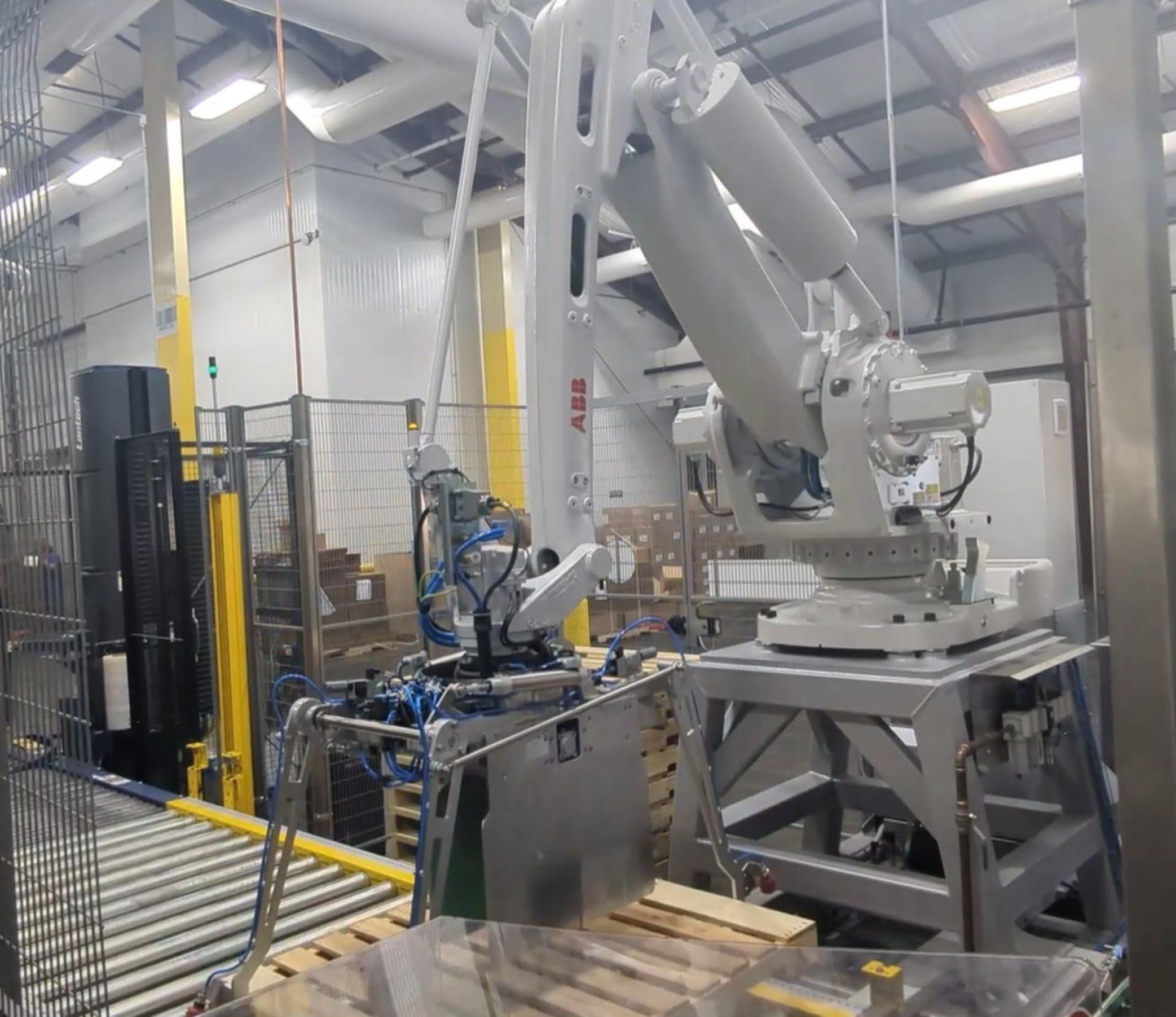 Turnkey Peanut Packing Line - Palletizer
